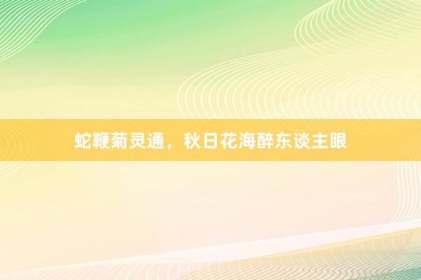 蛇鞭菊灵通，秋日花海醉东谈主眼